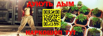 стафф Новокубанск