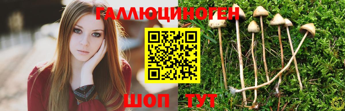 Уварово  Галлюциногенные грибы мухоморы  Вход с VPN 