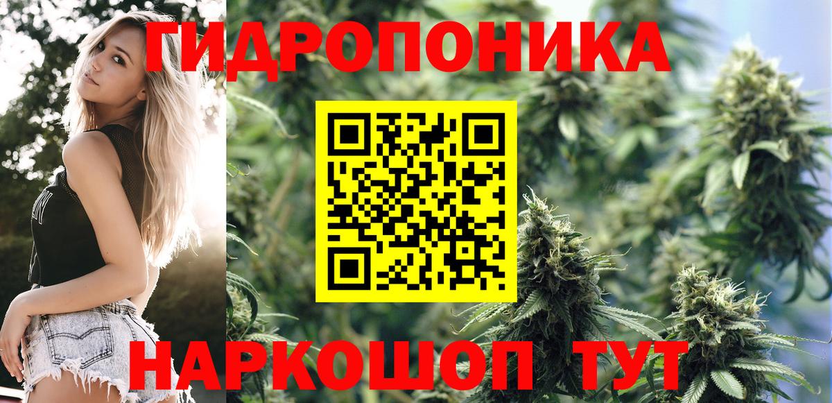 Конопля OG Kush  Канабис конопля  Вход с VPN  Уварово  Бошки Шишки семена 